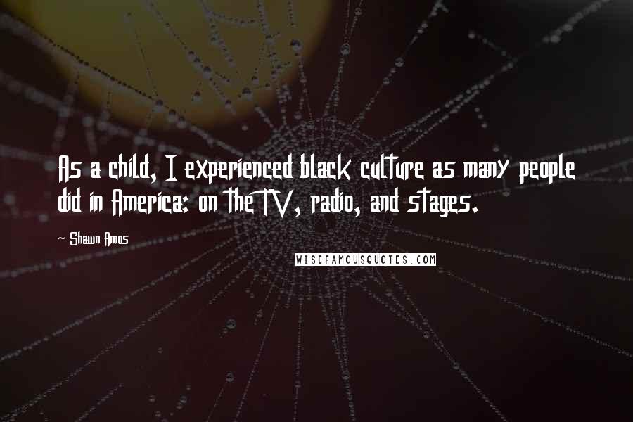 Shawn Amos Quotes: As a child, I experienced black culture as many people did in America: on the TV, radio, and stages.