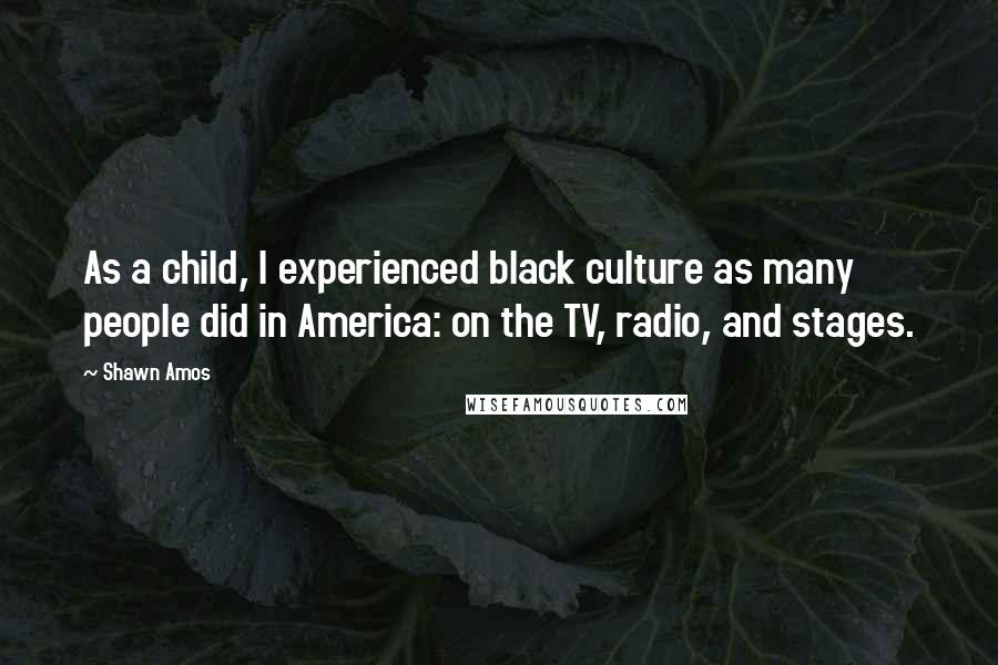 Shawn Amos Quotes: As a child, I experienced black culture as many people did in America: on the TV, radio, and stages.