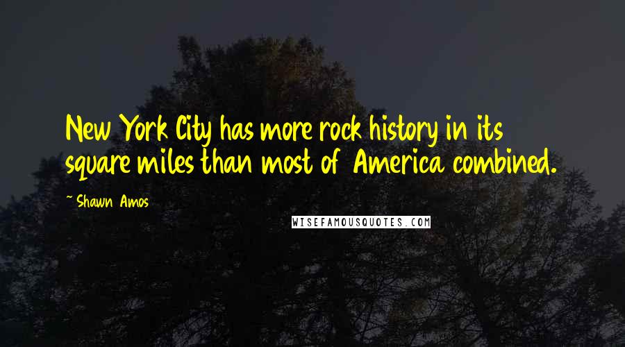Shawn Amos Quotes: New York City has more rock history in its 305 square miles than most of America combined.