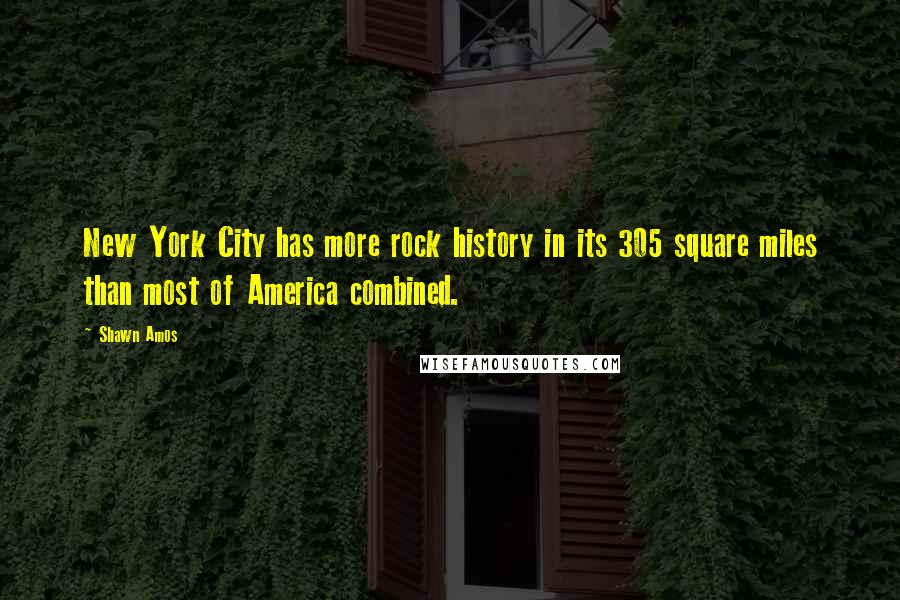 Shawn Amos Quotes: New York City has more rock history in its 305 square miles than most of America combined.