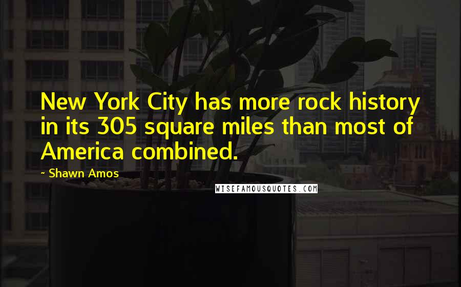 Shawn Amos Quotes: New York City has more rock history in its 305 square miles than most of America combined.