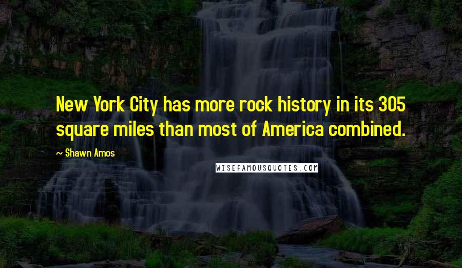 Shawn Amos Quotes: New York City has more rock history in its 305 square miles than most of America combined.
