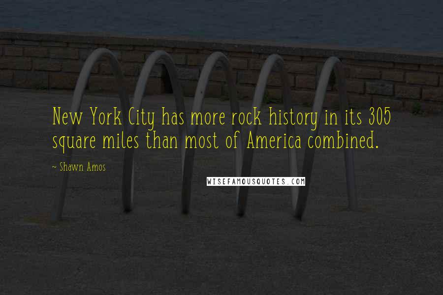 Shawn Amos Quotes: New York City has more rock history in its 305 square miles than most of America combined.