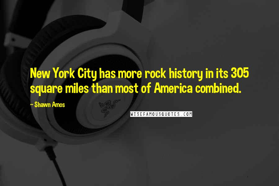 Shawn Amos Quotes: New York City has more rock history in its 305 square miles than most of America combined.