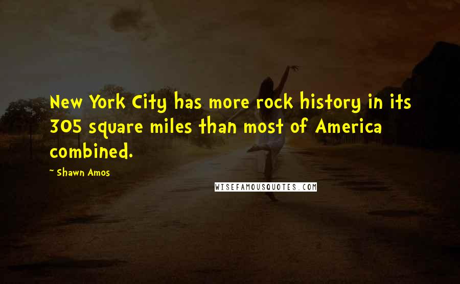Shawn Amos Quotes: New York City has more rock history in its 305 square miles than most of America combined.