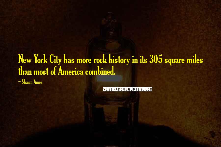 Shawn Amos Quotes: New York City has more rock history in its 305 square miles than most of America combined.