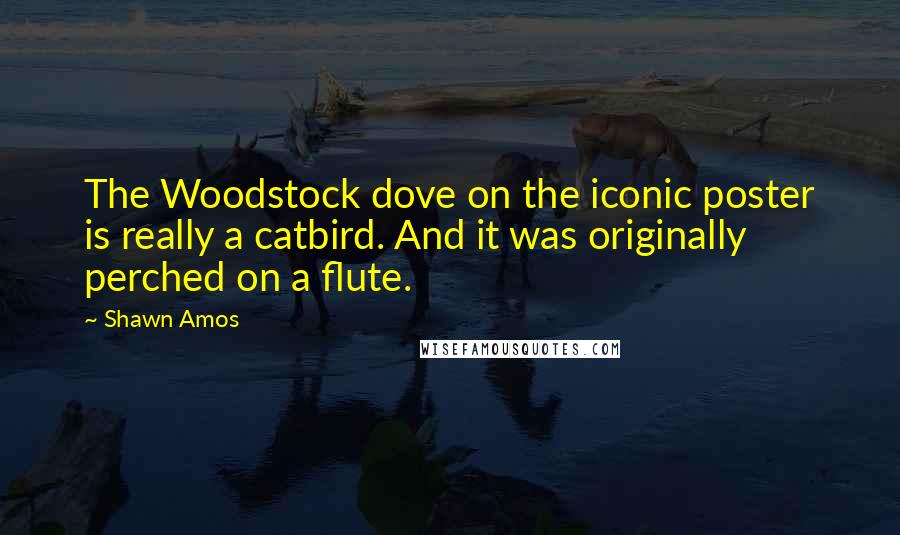 Shawn Amos Quotes: The Woodstock dove on the iconic poster is really a catbird. And it was originally perched on a flute.