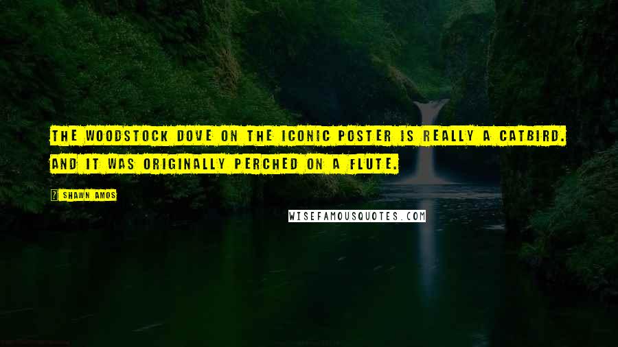 Shawn Amos Quotes: The Woodstock dove on the iconic poster is really a catbird. And it was originally perched on a flute.