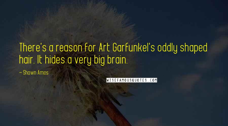 Shawn Amos Quotes: There's a reason for Art Garfunkel's oddly shaped hair. It hides a very big brain.