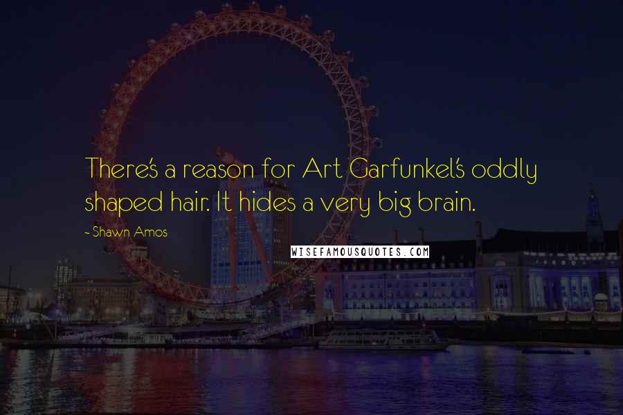 Shawn Amos Quotes: There's a reason for Art Garfunkel's oddly shaped hair. It hides a very big brain.