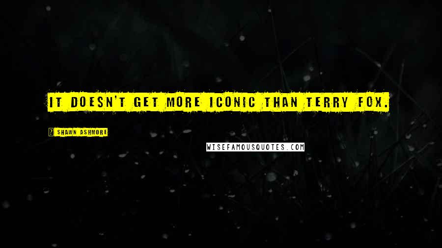 Shawn Ashmore Quotes: It doesn't get more iconic than Terry Fox.