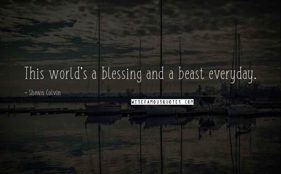 Shawn Colvin Quotes: This world's a blessing and a beast everyday.