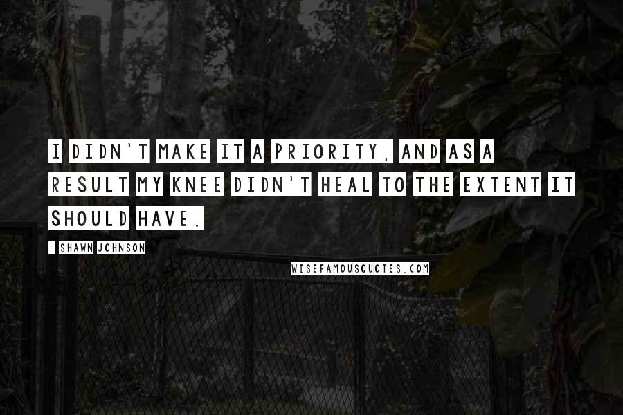 Shawn Johnson Quotes: I didn't make it a priority, and as a result my knee didn't heal to the extent it should have.