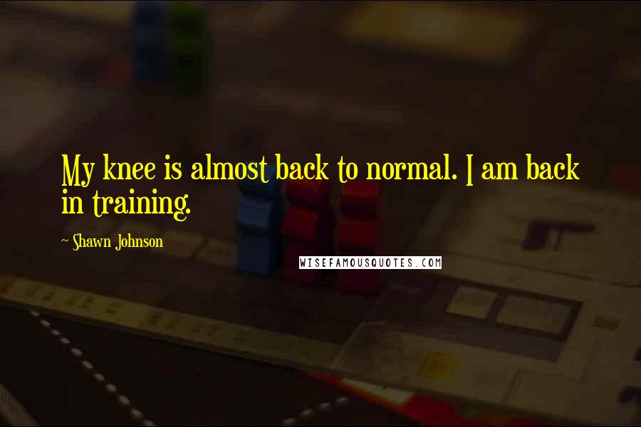 Shawn Johnson Quotes: My knee is almost back to normal. I am back in training.