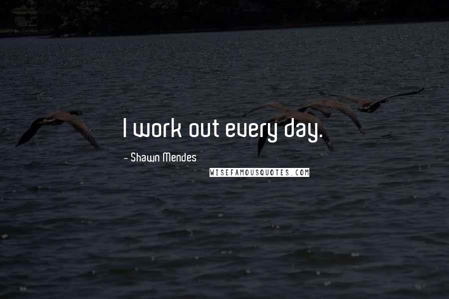 Shawn Mendes Quotes: I work out every day.