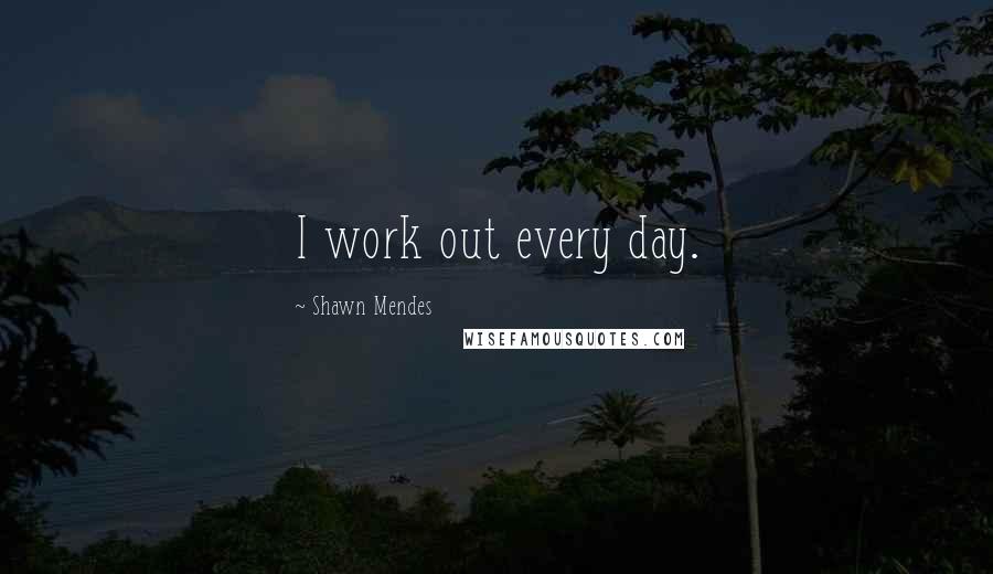 Shawn Mendes Quotes: I work out every day.