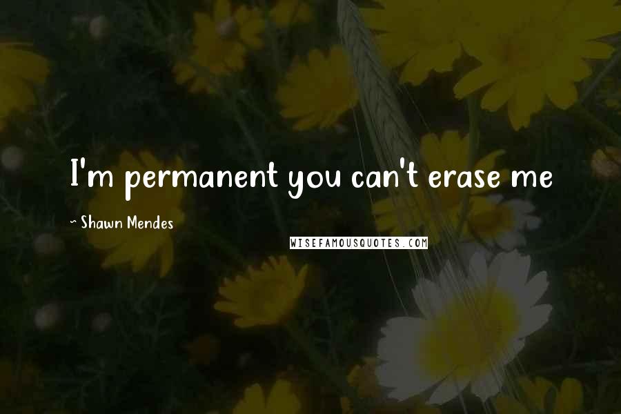 Shawn Mendes Quotes: I'm permanent you can't erase me