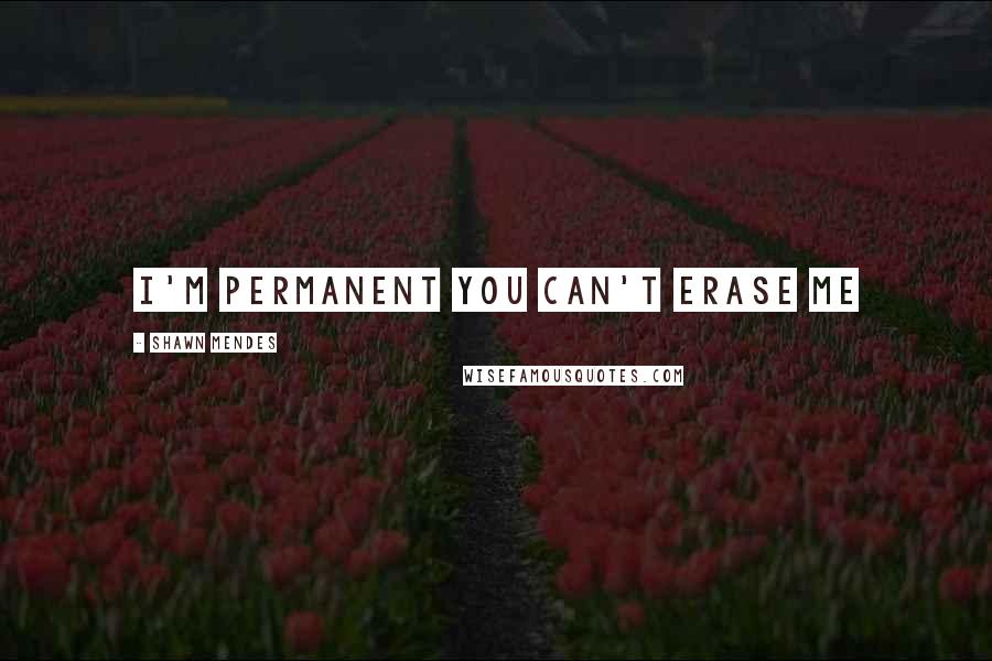 Shawn Mendes Quotes: I'm permanent you can't erase me