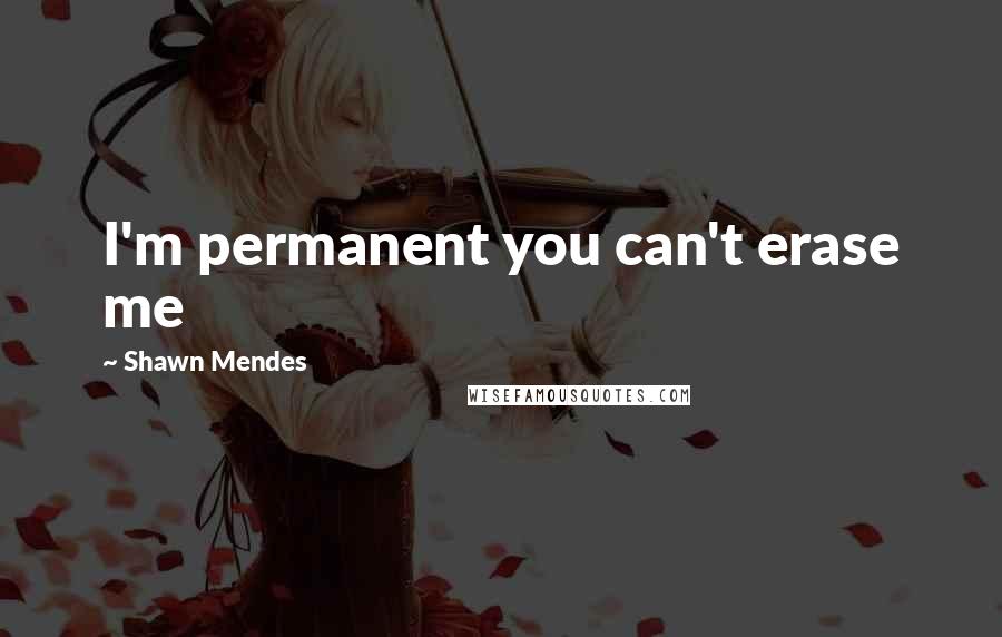 Shawn Mendes Quotes: I'm permanent you can't erase me