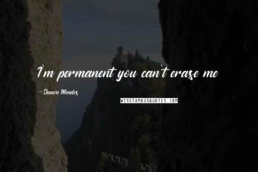 Shawn Mendes Quotes: I'm permanent you can't erase me