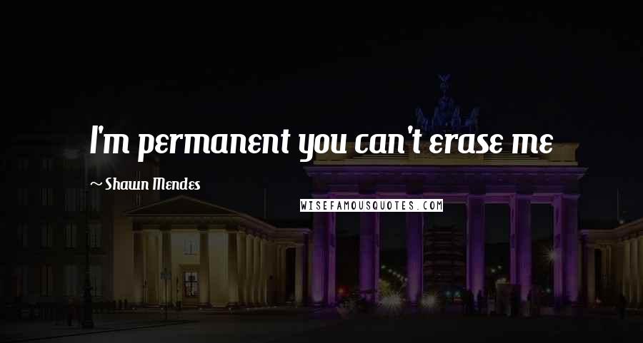 Shawn Mendes Quotes: I'm permanent you can't erase me