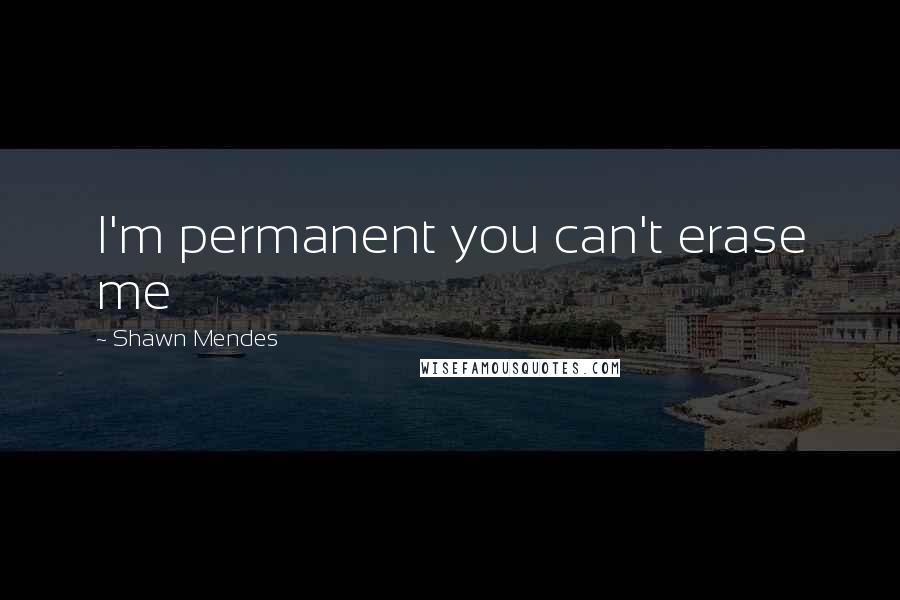 Shawn Mendes Quotes: I'm permanent you can't erase me
