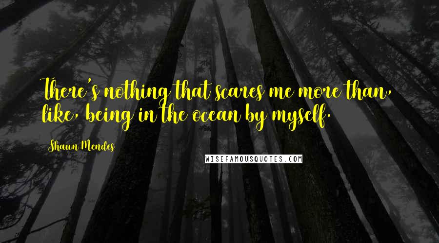 Shawn Mendes Quotes: There's nothing that scares me more than, like, being in the ocean by myself.