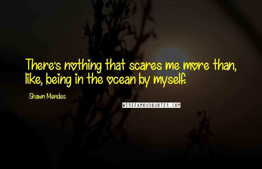 Shawn Mendes Quotes: There's nothing that scares me more than, like, being in the ocean by myself.