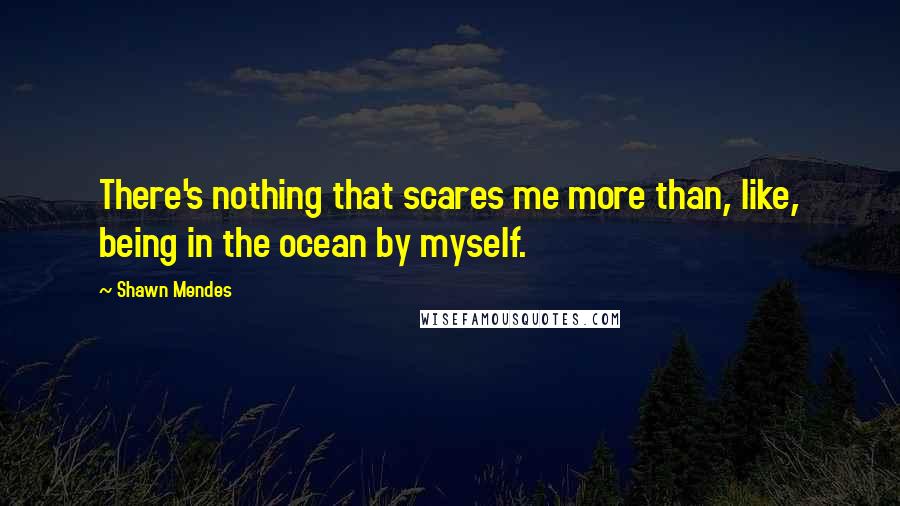 Shawn Mendes Quotes: There's nothing that scares me more than, like, being in the ocean by myself.