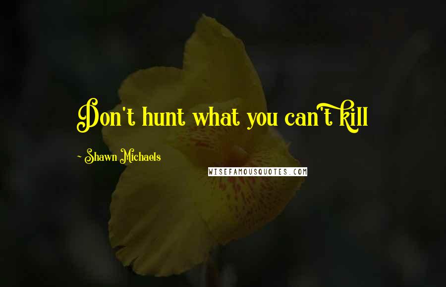 Shawn Michaels Quotes: Don't hunt what you can't kill