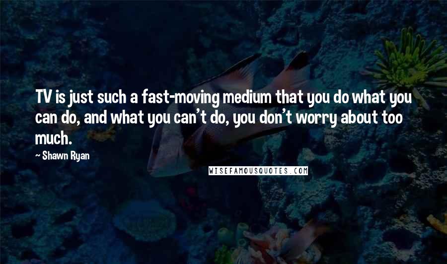 Shawn Ryan Quotes: TV is just such a fast-moving medium that you do what you can do, and what you can't do, you don't worry about too much.