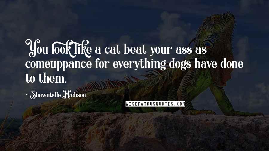 Shawntelle Madison Quotes: You look like a cat beat your ass as comeuppance for everything dogs have done to them.