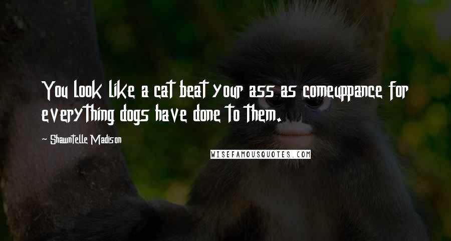 Shawntelle Madison Quotes: You look like a cat beat your ass as comeuppance for everything dogs have done to them.