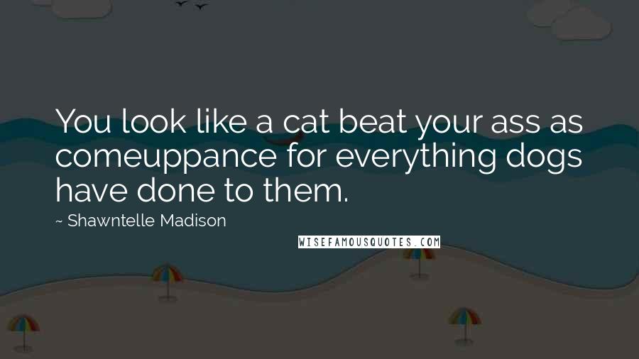 Shawntelle Madison Quotes: You look like a cat beat your ass as comeuppance for everything dogs have done to them.