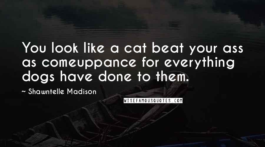 Shawntelle Madison Quotes: You look like a cat beat your ass as comeuppance for everything dogs have done to them.