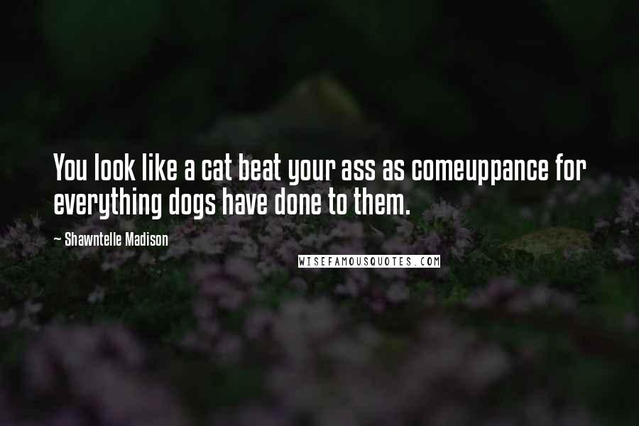 Shawntelle Madison Quotes: You look like a cat beat your ass as comeuppance for everything dogs have done to them.