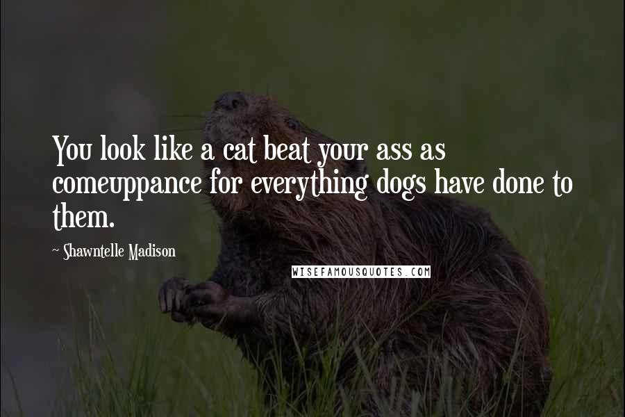 Shawntelle Madison Quotes: You look like a cat beat your ass as comeuppance for everything dogs have done to them.