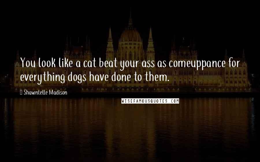 Shawntelle Madison Quotes: You look like a cat beat your ass as comeuppance for everything dogs have done to them.