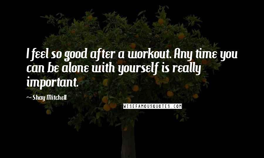Shay Mitchell Quotes: I feel so good after a workout. Any time you can be alone with yourself is really important.