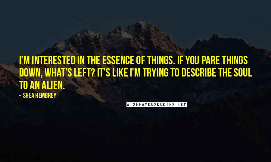 Shea Hembrey Quotes: I'm interested in the essence of things. If you pare things down, what's left? It's like I'm trying to describe the soul to an alien.