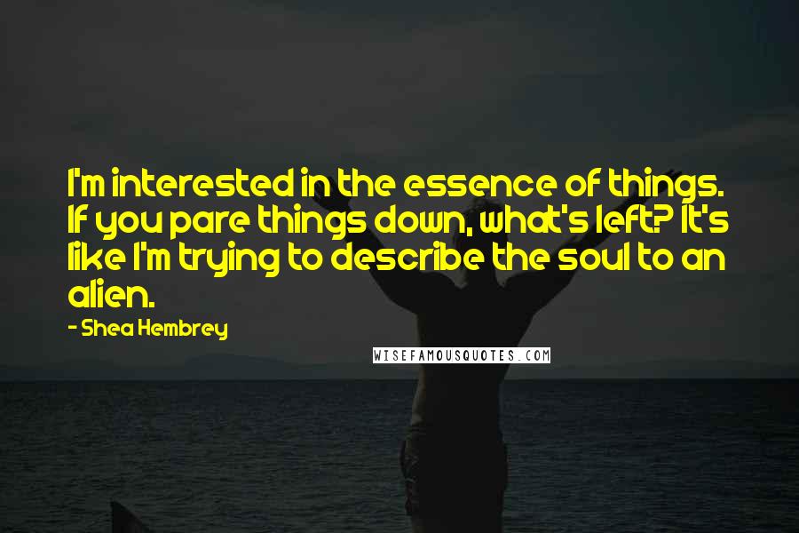 Shea Hembrey Quotes: I'm interested in the essence of things. If you pare things down, what's left? It's like I'm trying to describe the soul to an alien.