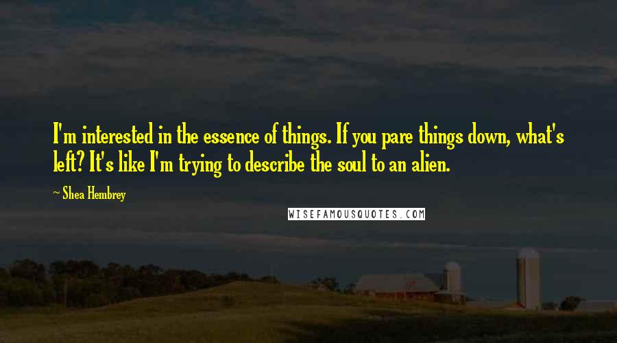 Shea Hembrey Quotes: I'm interested in the essence of things. If you pare things down, what's left? It's like I'm trying to describe the soul to an alien.