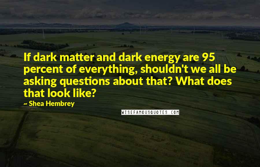 Shea Hembrey Quotes: If dark matter and dark energy are 95 percent of everything, shouldn't we all be asking questions about that? What does that look like?