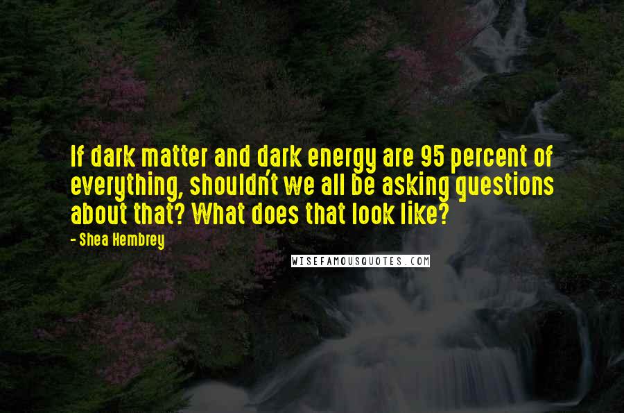 Shea Hembrey Quotes: If dark matter and dark energy are 95 percent of everything, shouldn't we all be asking questions about that? What does that look like?