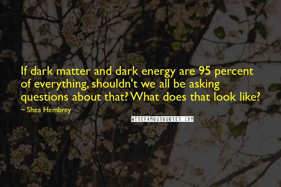 Shea Hembrey Quotes: If dark matter and dark energy are 95 percent of everything, shouldn't we all be asking questions about that? What does that look like?