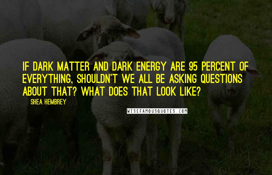 Shea Hembrey Quotes: If dark matter and dark energy are 95 percent of everything, shouldn't we all be asking questions about that? What does that look like?
