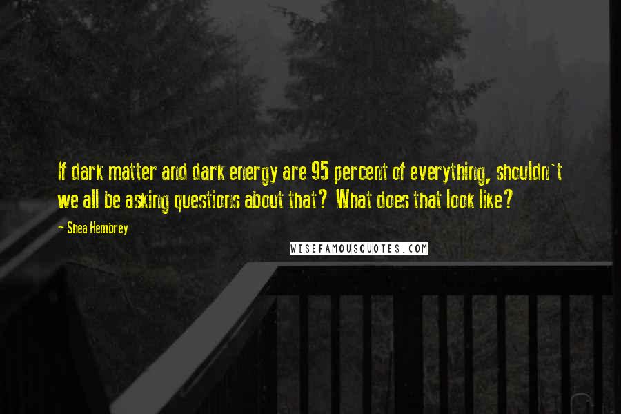 Shea Hembrey Quotes: If dark matter and dark energy are 95 percent of everything, shouldn't we all be asking questions about that? What does that look like?