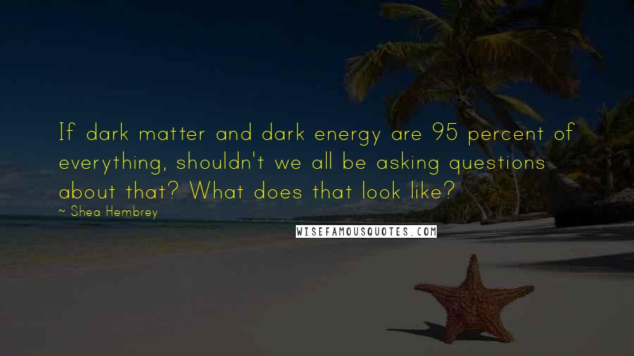 Shea Hembrey Quotes: If dark matter and dark energy are 95 percent of everything, shouldn't we all be asking questions about that? What does that look like?