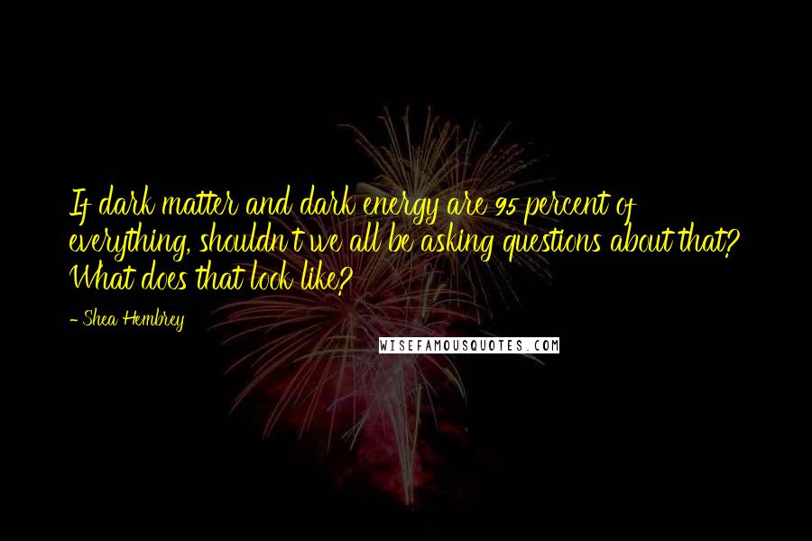 Shea Hembrey Quotes: If dark matter and dark energy are 95 percent of everything, shouldn't we all be asking questions about that? What does that look like?