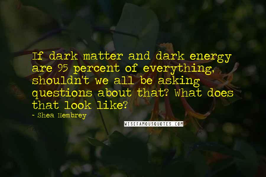 Shea Hembrey Quotes: If dark matter and dark energy are 95 percent of everything, shouldn't we all be asking questions about that? What does that look like?